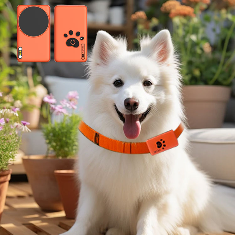 AI Wearable Pet Health Monitor - Breath Rate Monitor recensie en prijs